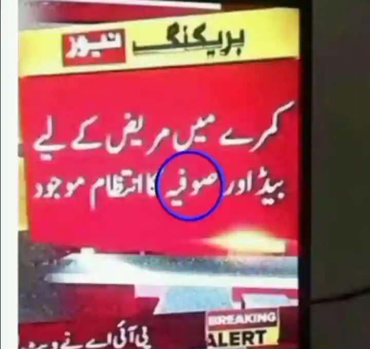 اے اردو ہم شرمندہ ہیں
تیرے قاتل ابھی زندہ ہیں🙄👇😑