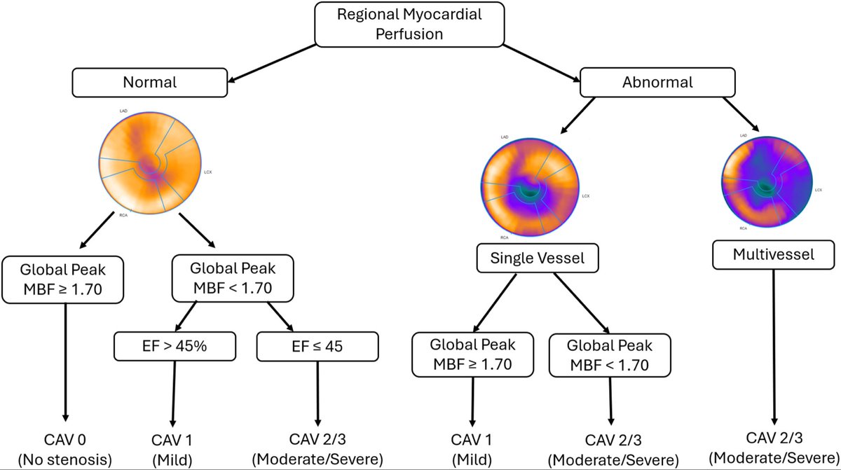 SeguraCardio's tweet image. 📌Multimodal Cardiac Imaging of Immune‐Mediated Complications Post Heart Transplantation: A Contemporary #Review

#StateOfTheArt #HF #EchoFirst #WhyCMR #HeartTransplant