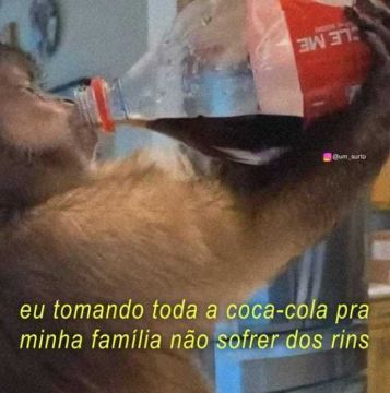 memes extremamente horríveis (ou bons) (@memes_horriveis) on Twitter photo 