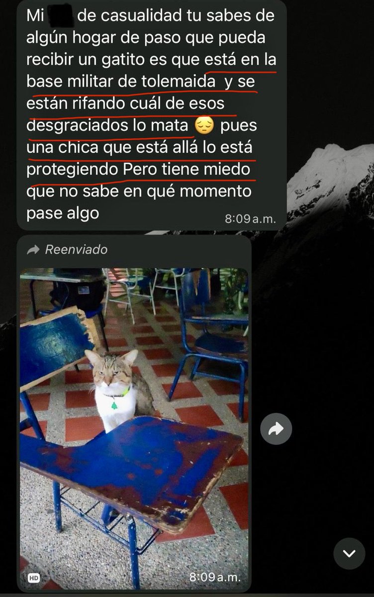 🚨‼️Ayúdenme a etiquetar a la unidad del <a href="/COL_EJERCITO/">Ejército Nacional de Colombia</a> o de las <a href="/FuerzasMilCol/">Fuerzas Militares de Colombia</a> a la que corresponda la base militar de Tolemaida, Tolima, donde hampones apuestan para matar a este gatico. ¿Qué clase de matones “protege” a Colombia?

La grandiosa <a href="/VivianAnNieto/">Vivian Nieto Flórez</a> se ofrece a recibir