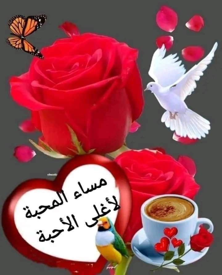 ميلاد ميخائيل tweet media