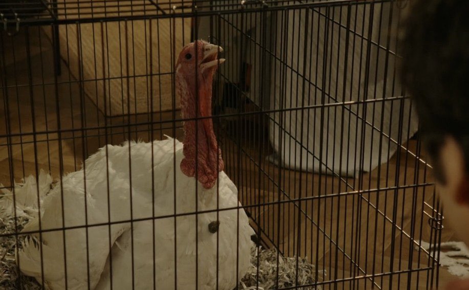 we all know who owns this holiday…