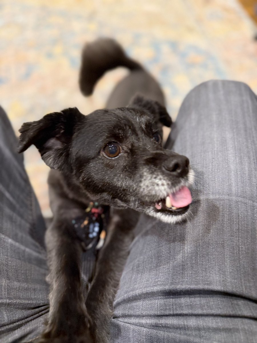 Iris and Rose: One Gotta Go