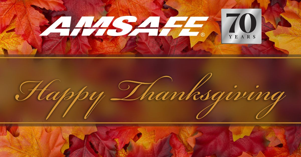 AmSafe1's tweet image. Thankful for the teamwork, innovation, and trust that keep us moving forward. Happy Thanksgiving 🦃 

#AmSafe #HappyThanksgiving