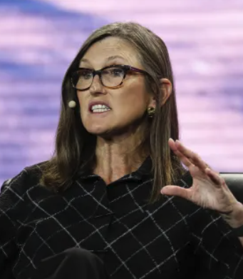 🚨Bureau : Cathie Wood prevede un'inversione della pressione di liquidità per criptovalute e intelligenza artificiale entro poche settimane