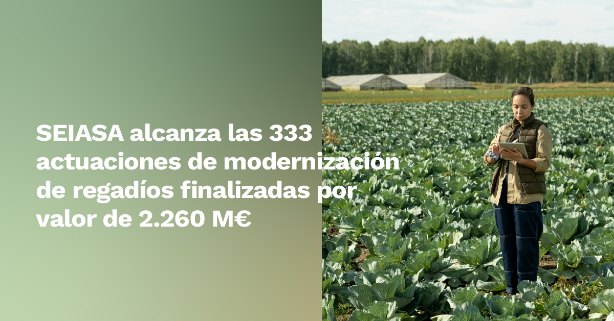 España se ha convertido en un referente mundial en modernización de #regadíos. Esto ha sido posible gracias a la evolución hacia sistemas de riego que pivotan en torno a 3 pilares básicos: la eficiencia hídrica, las energías limpias y la digitalización.
👉🏻fenacore.org/news/seiasa-ce…