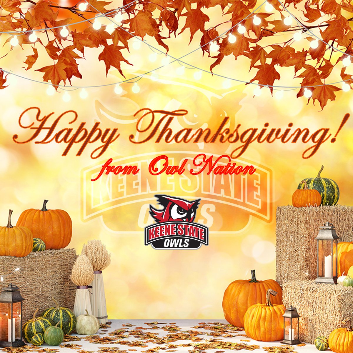 From Owl Nation, we hope everyone has a great day!  We are thankful for all of our students, teams, staff, and families! #GoOwls🦉