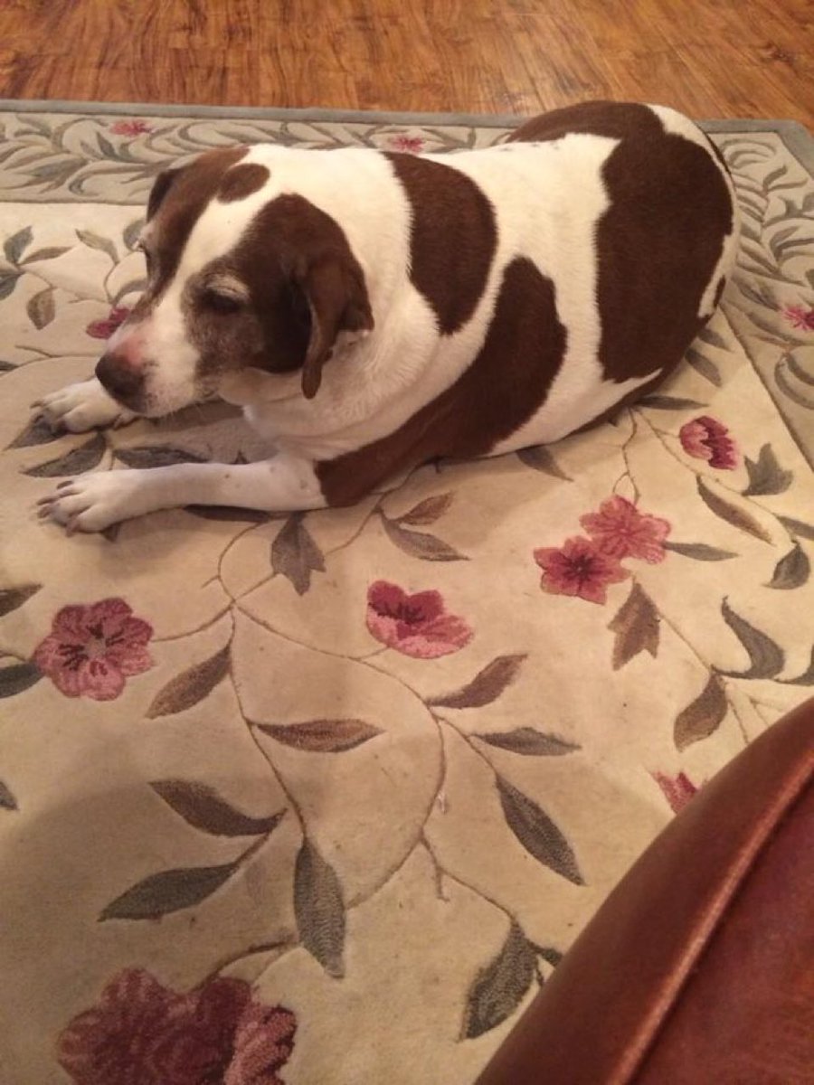 BobStrung's tweet image. Happy thanksgiving happy people. Was Yeemoy’s favorite holiday for obvious reasons #rip #15spotter