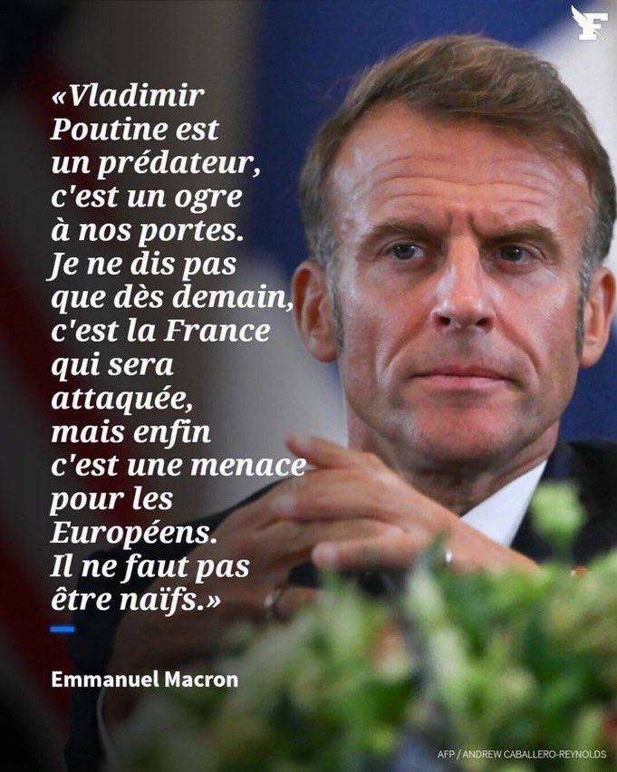 Wolf 🐺 tweet media