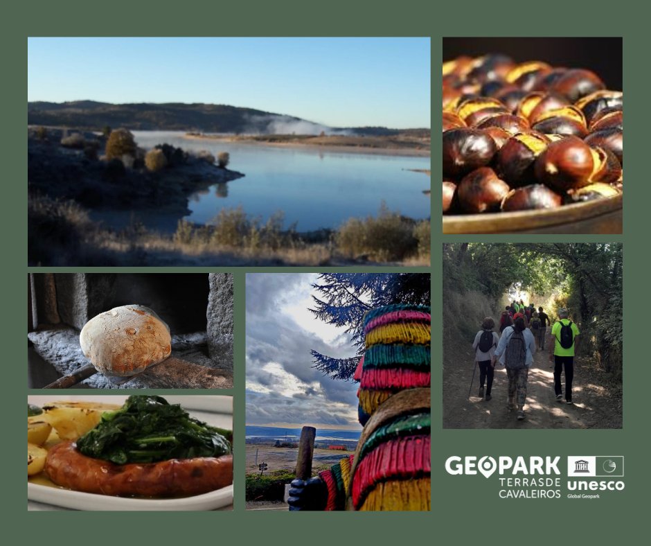 Geopark Terras de Cavaleiros tweet media