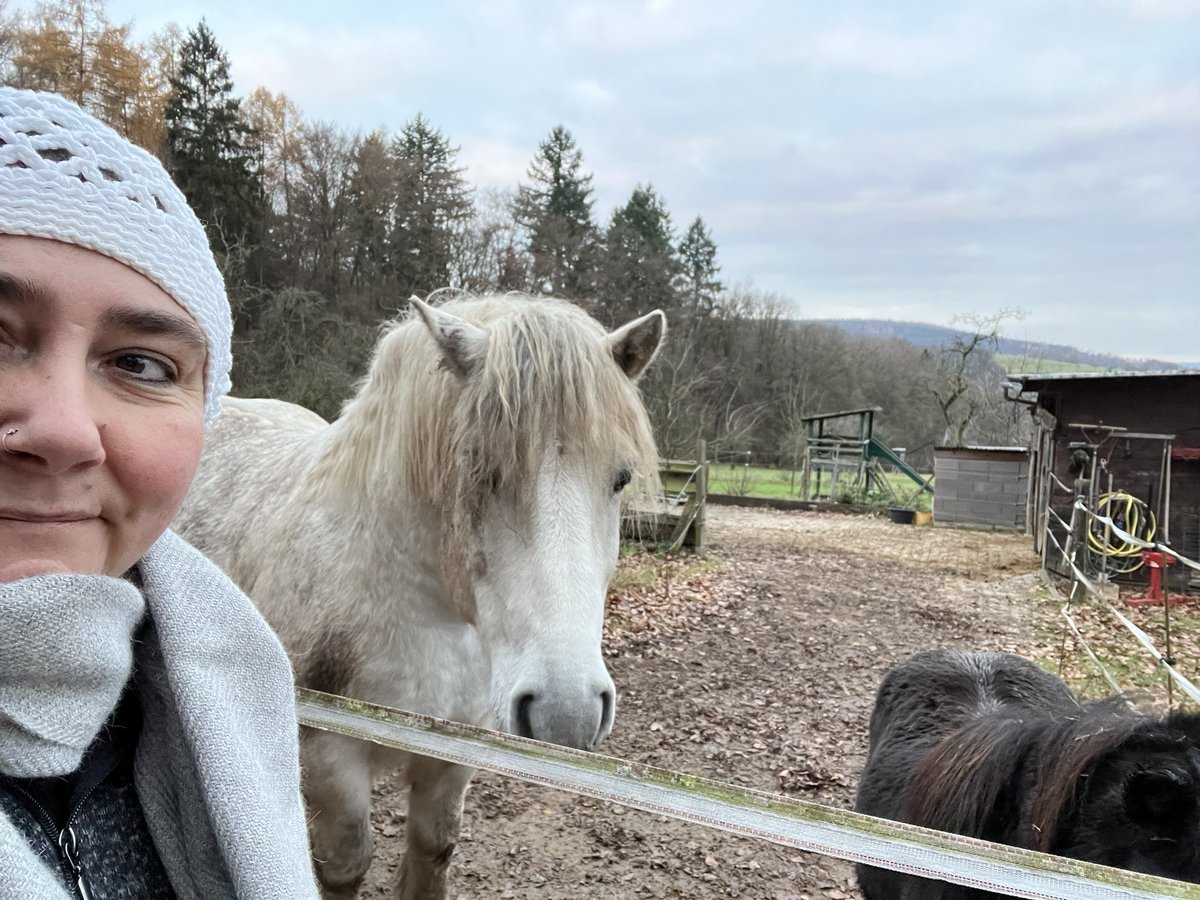 Wenn die Welt zu laut ist, hilft die Stille der Tiere ❤️