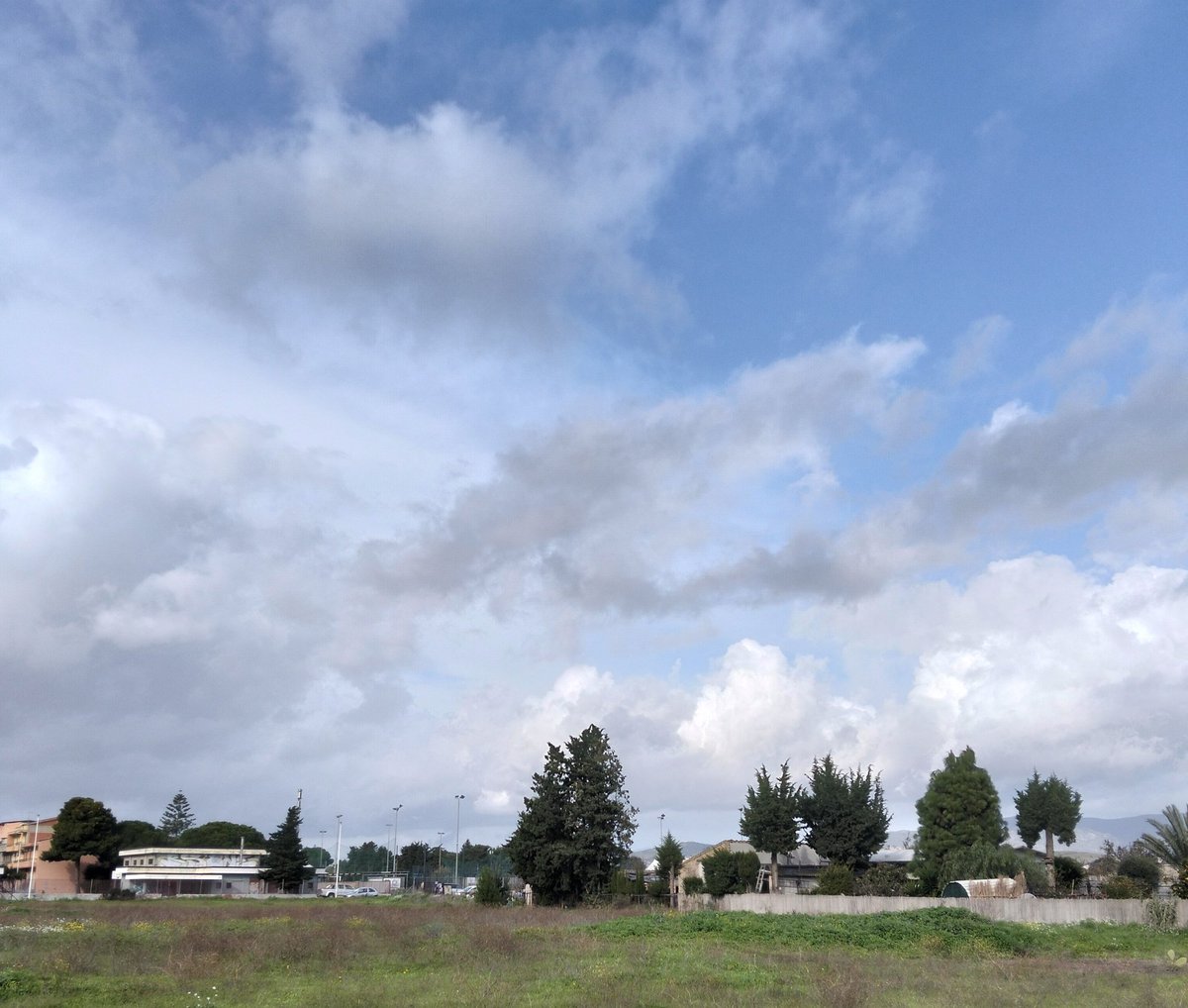 Annalisa tweet media