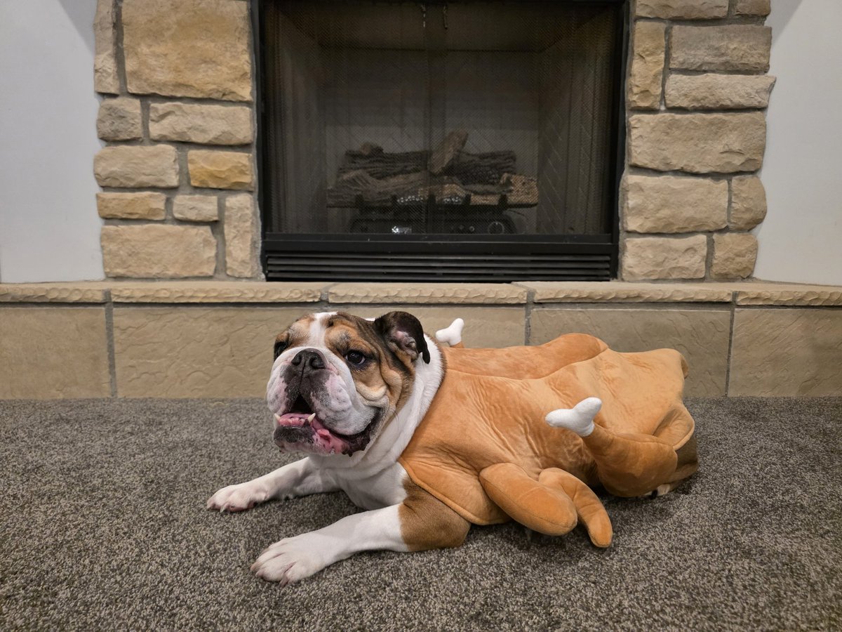 Happy Thanksgiving to all you turkeys out there!