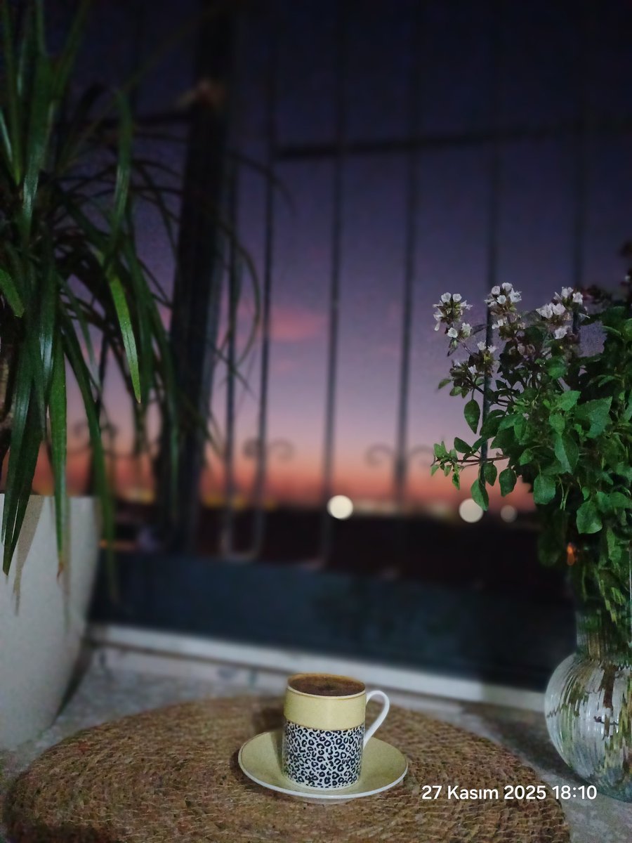 #balkoncandır #balkon #kasım #fesleğen benim kendime ait köşem 😉 #günbatimı