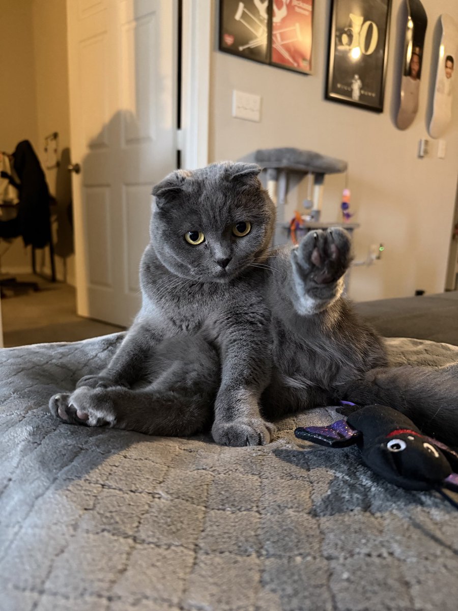 PrawnBucket's tweet image. 