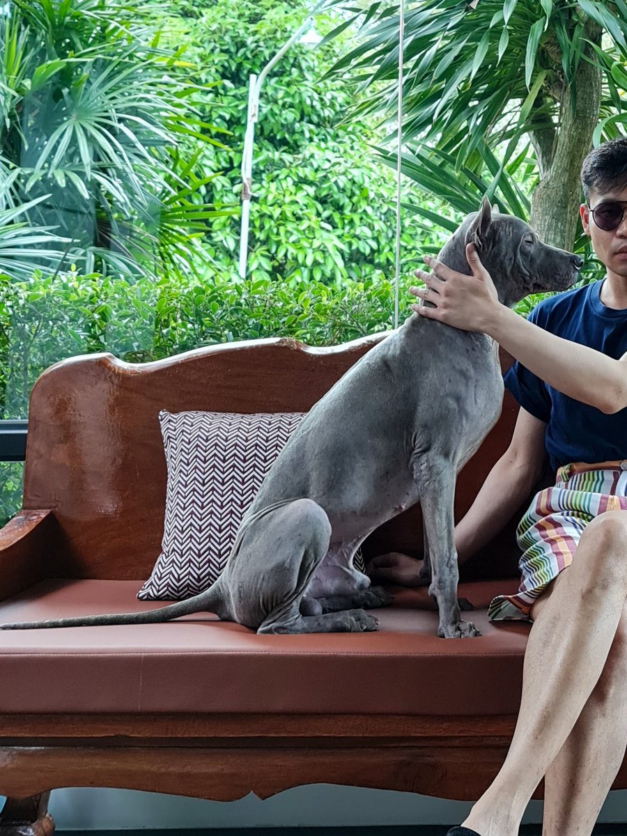 LoukgolfLG's tweet image. ประกาศตามหา น้องหมาหลังอานสีเทา น้องออทั่ม หลุดไปช่วงน้ำท่วมแถวทุ่งลุง หายไปหลายวันแล้วยัง ไม่เจอเลย ทางครอบครัวหวังว่าน้องจะว่ายน้ำไปเจอคนใจดีช่วยไว้ได้ ทางเรายังไม่ถอดใจ ใครพบเจอน้องหมาหลังอานสีเทา ตามภาพ โทรแจ้งคุณมะปราง ที่เบอร์ 0864239656 หน่อยนะคะ 😓😭