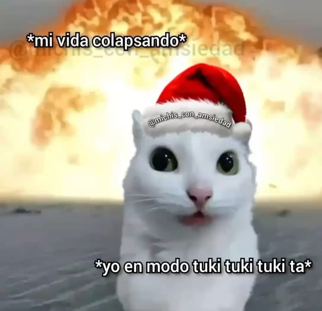 Yesi Days 🤓 tweet media