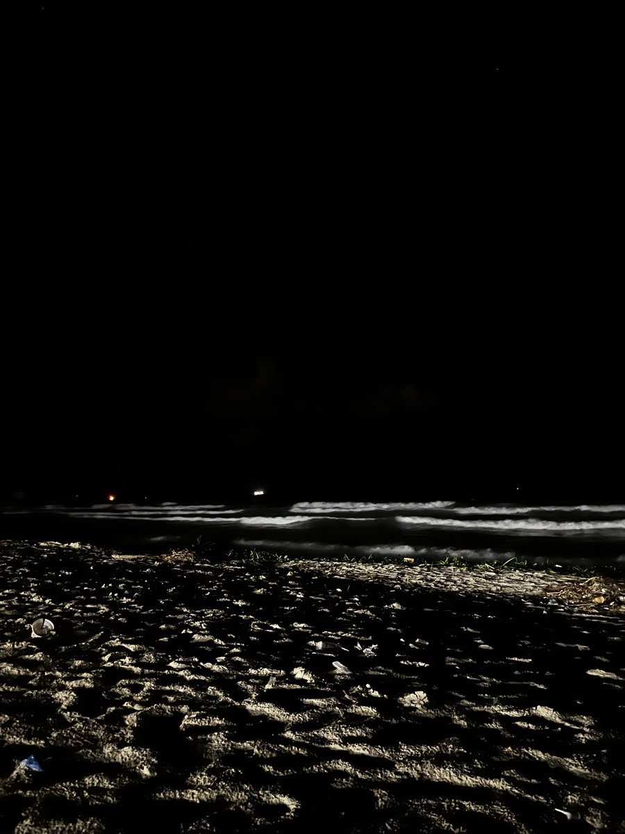 shimaaEALDeep's tweet image. Night ✨