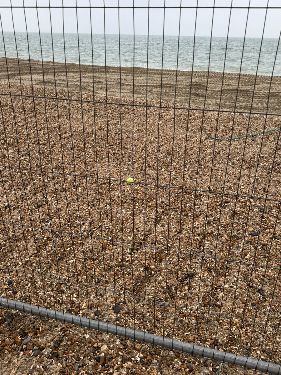 OllieGoddardGsy's tweet image. ‘All Alone’
Me
Today
Southsea

#AlphabetChallenge #WeekVforVowels