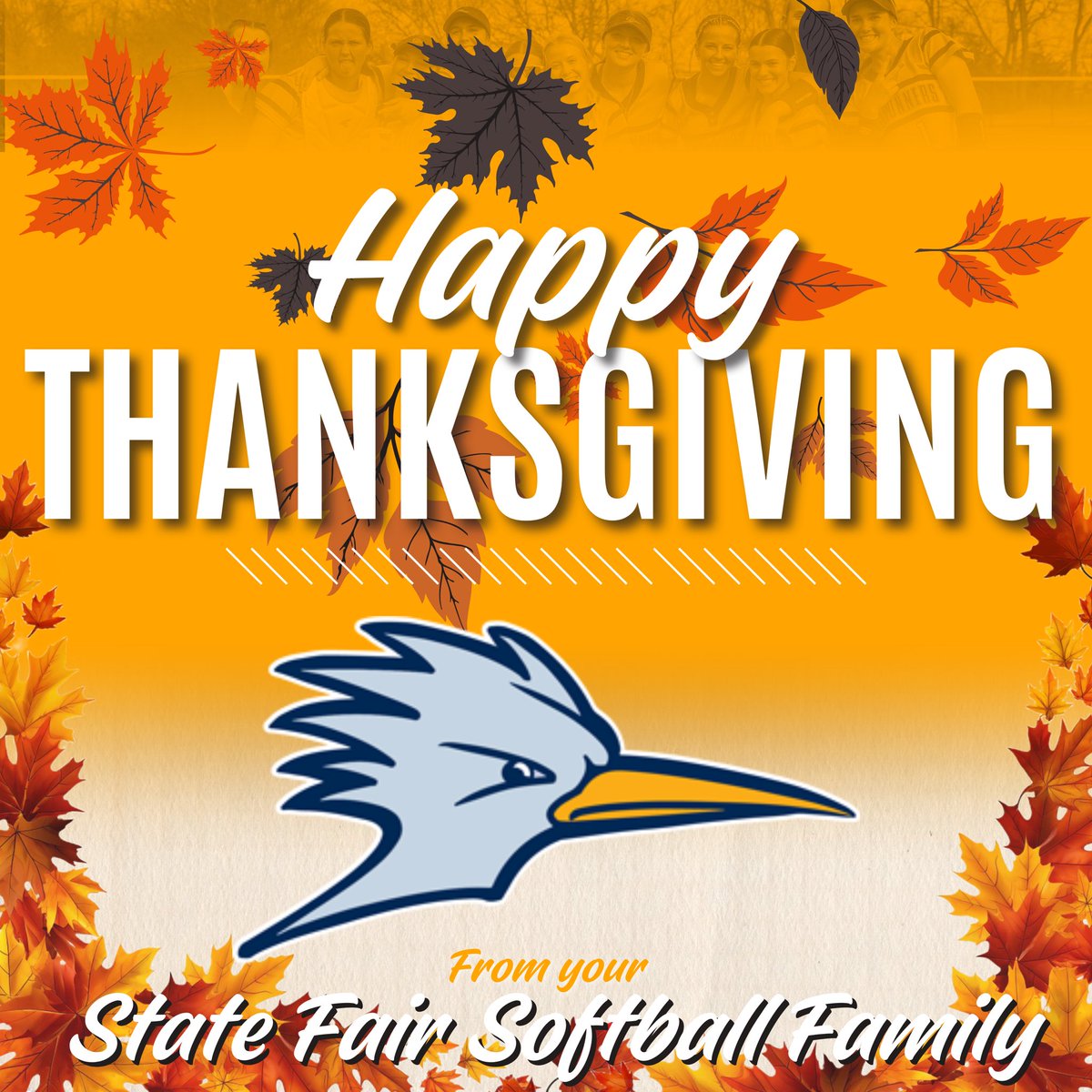 Happy Thanksgiving to you and yours! We hope everyone has a great break with friends and family 💙

#sfccmosoftball
#CHAMPS