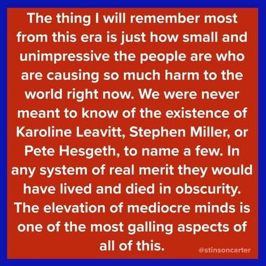 <a href="/RepFine/">Congressman Randy Fine</a>