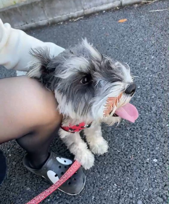 強く生きる義務があるって感じ

幸せにしてあげないと 