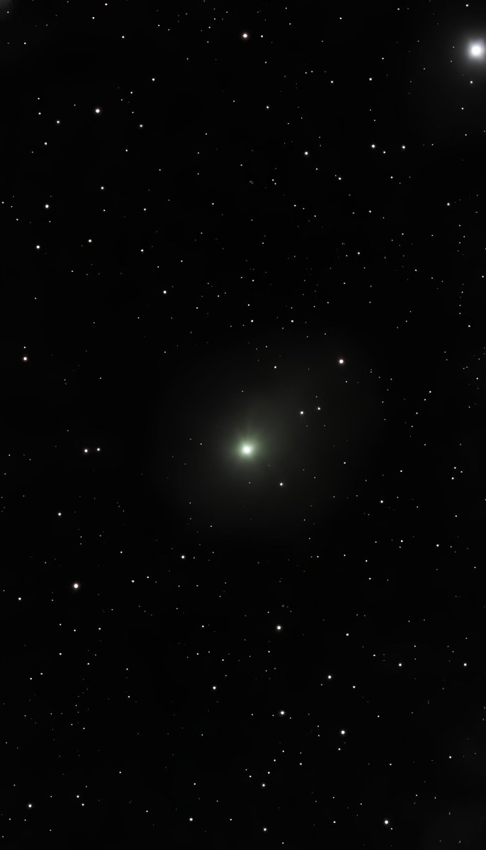 Petriz Lab 𝕏 tweet media