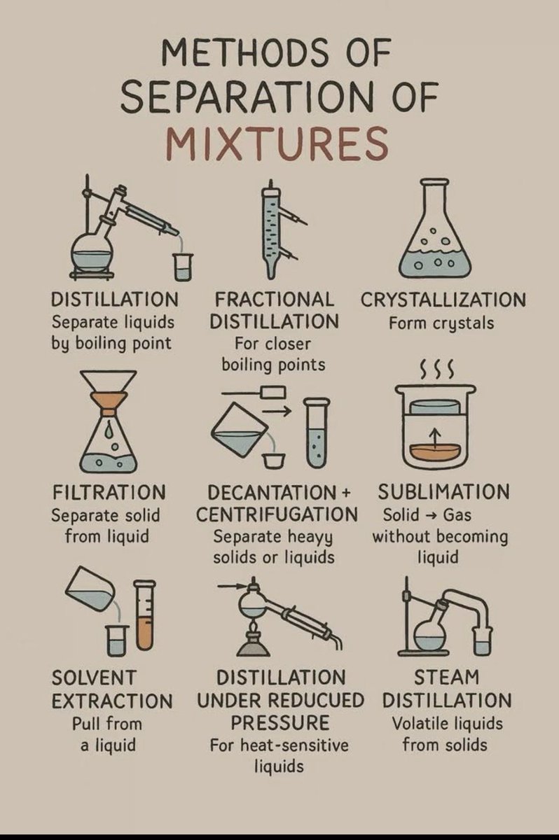 🧪👩🔬الآء tweet media