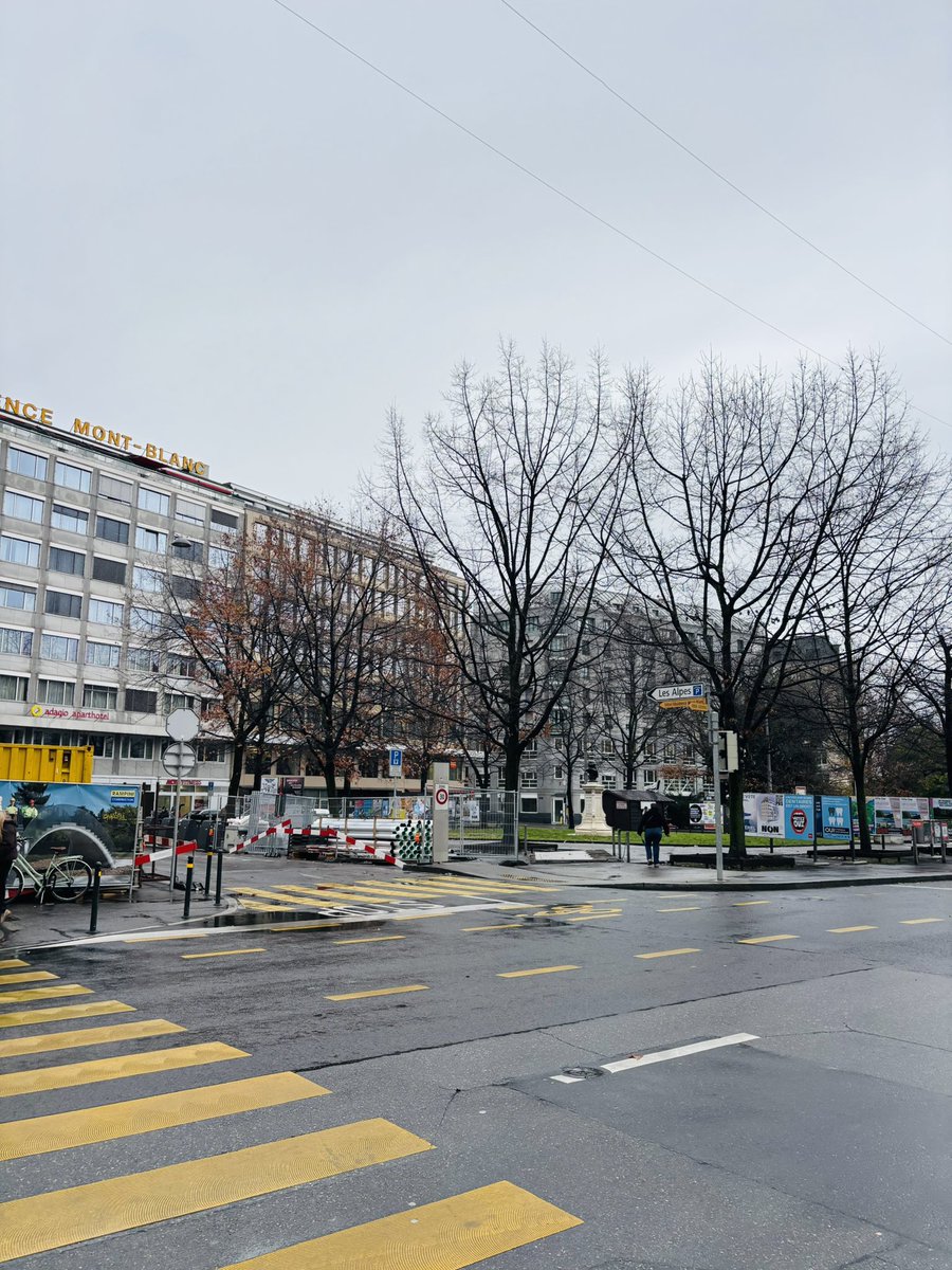 saumya1singh's tweet image. 📸 I’m not a bad photographer