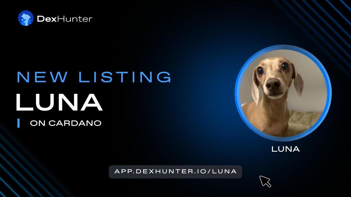 DexHunterIO's tweet image. $LUNA is now listed and verified on DexHunter🫡🐶