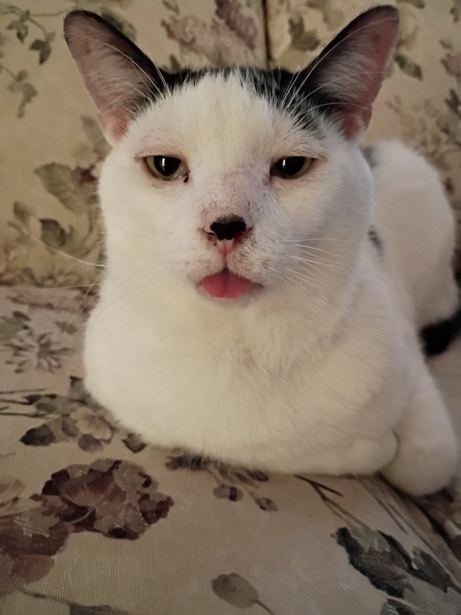 zelmore (@zach_elmore) on Twitter photo 