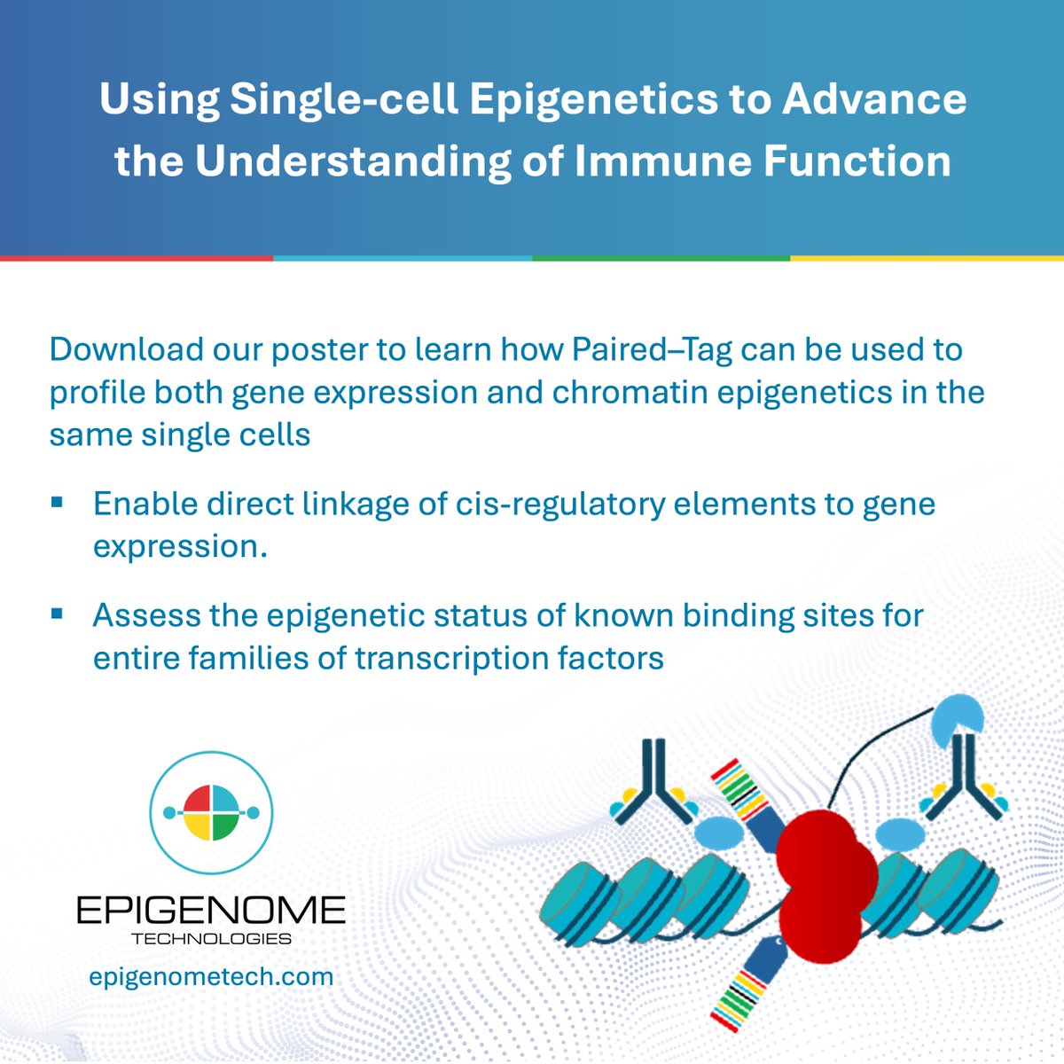 EpigenomeTech's tweet image. Download our poster to learn how we used single-cell CUT&amp;amp;Tag and Droplet Paired-Tag to profile PBMCs, generating over 70,000 single-cell profiles and identifying vast numbers of CREs
#Epigenetics #SingleCell #DropletPairedTag #PairedTag #Multiomics

bit.ly/4kgWMF3