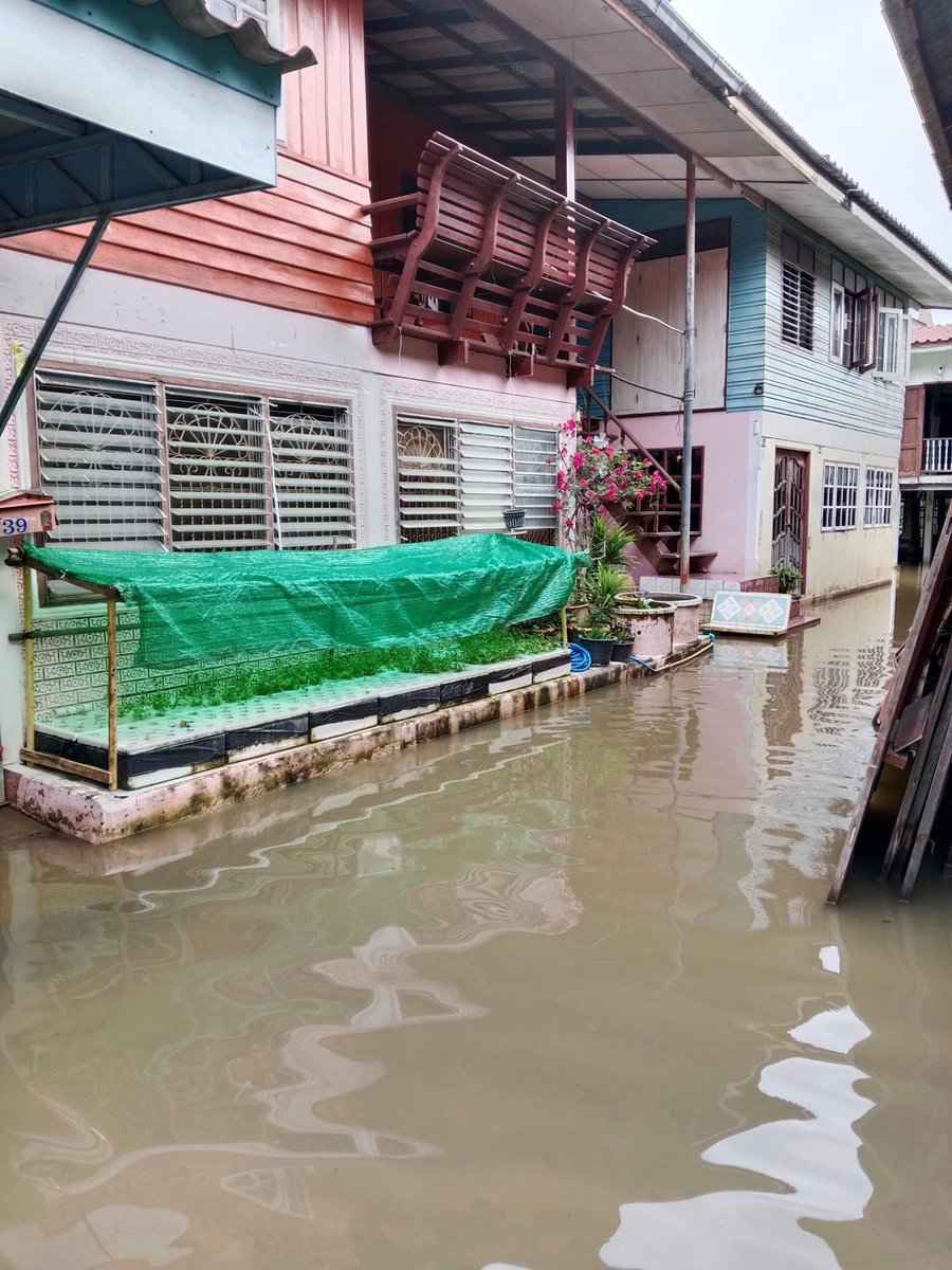 Sim_Cin's tweet image. อยุธยายังท่วมหลายพื้นที่ค่ะ บางเขตท่วมมาตั้งแต่กันยายน บ้านยายเราก็ท่วมถึงจะไม่เยอะเท่าบางอำเภอแต่ก็ทำให้ใช้ชีวิตลำบากมากนะ ท่วมบ่อยไม่ได้หมายความว่าต้องเคยชินจนต้องทนไปเรื่อยๆนะ เรายังดีว่าไม่ได้อยู่บ้านนี้แต่ญาติๆคืออยู่เขตนี้กันเยอะก็ลำบากมากอยู่ #น้ําท่วมอยุธยา