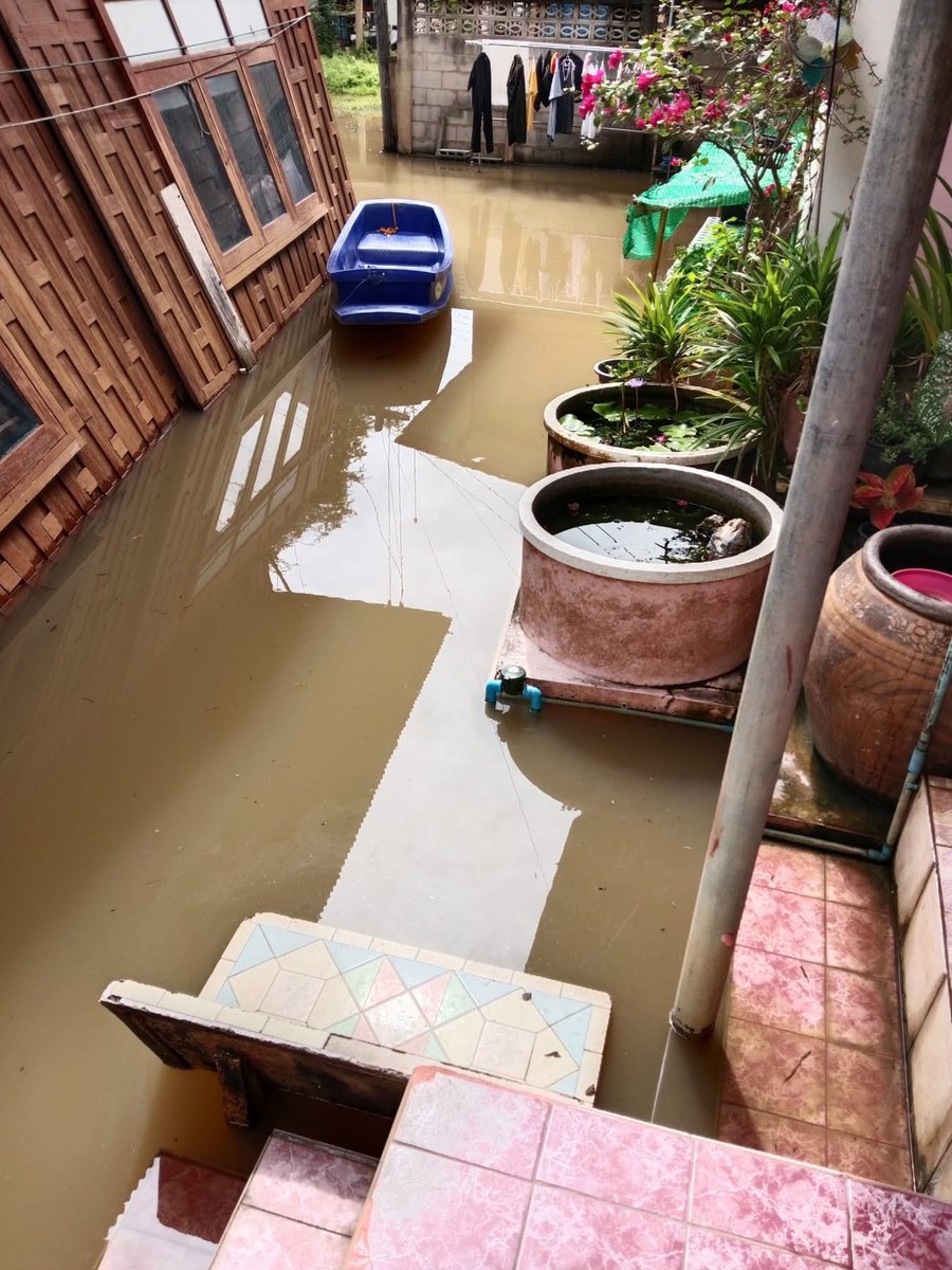 Sim_Cin's tweet image. อยุธยายังท่วมหลายพื้นที่ค่ะ บางเขตท่วมมาตั้งแต่กันยายน บ้านยายเราก็ท่วมถึงจะไม่เยอะเท่าบางอำเภอแต่ก็ทำให้ใช้ชีวิตลำบากมากนะ ท่วมบ่อยไม่ได้หมายความว่าต้องเคยชินจนต้องทนไปเรื่อยๆนะ เรายังดีว่าไม่ได้อยู่บ้านนี้แต่ญาติๆคืออยู่เขตนี้กันเยอะก็ลำบากมากอยู่ #น้ําท่วมอยุธยา