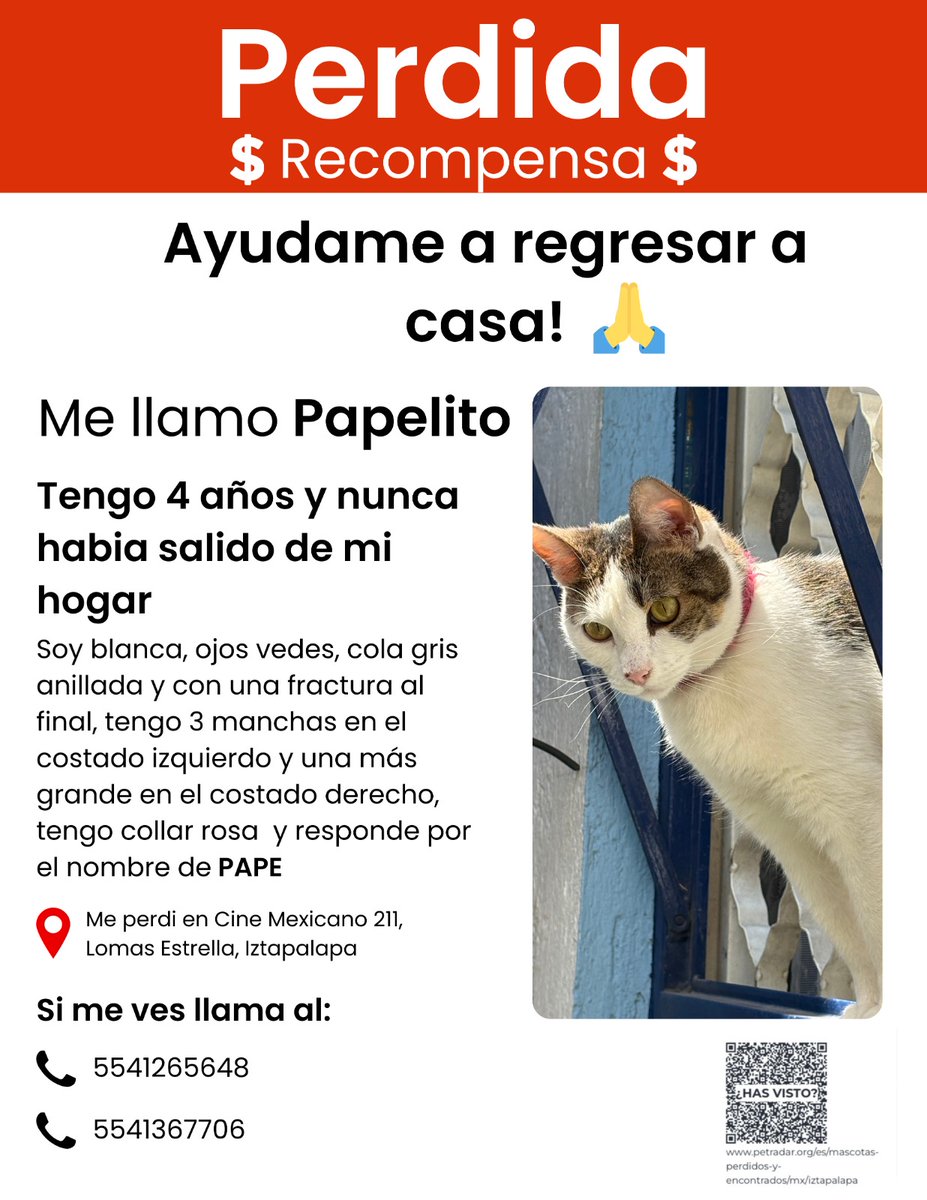 Abril Acevedo tweet media