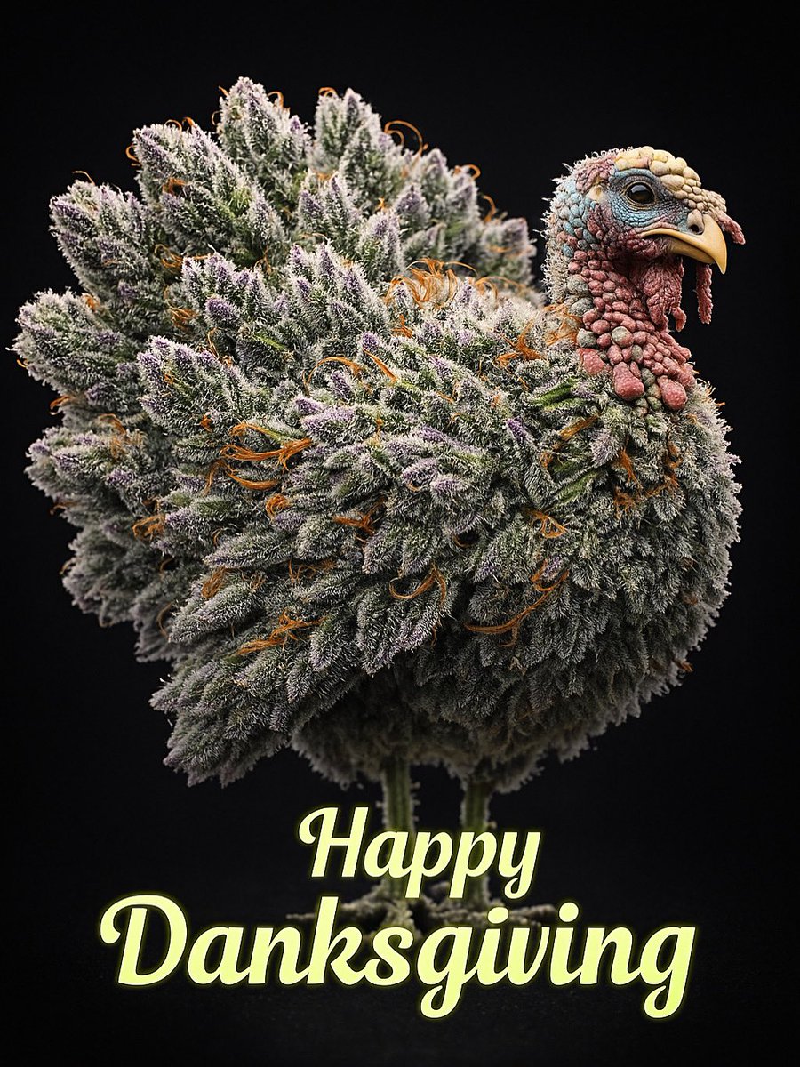 Chroniccandy25's tweet photo. 🦃✨ This year, we’re giving thanks and getting Dank! 🌿💨
Wishing everyone a chill, trichome-covered holiday full of good vibes, good buds, and great munchies.
#HappyDanksgiving #ChronicCandy #StayLifted #DanksgivingDinner #HighVibesOnly https://t.co/Nr5hz6bUTs