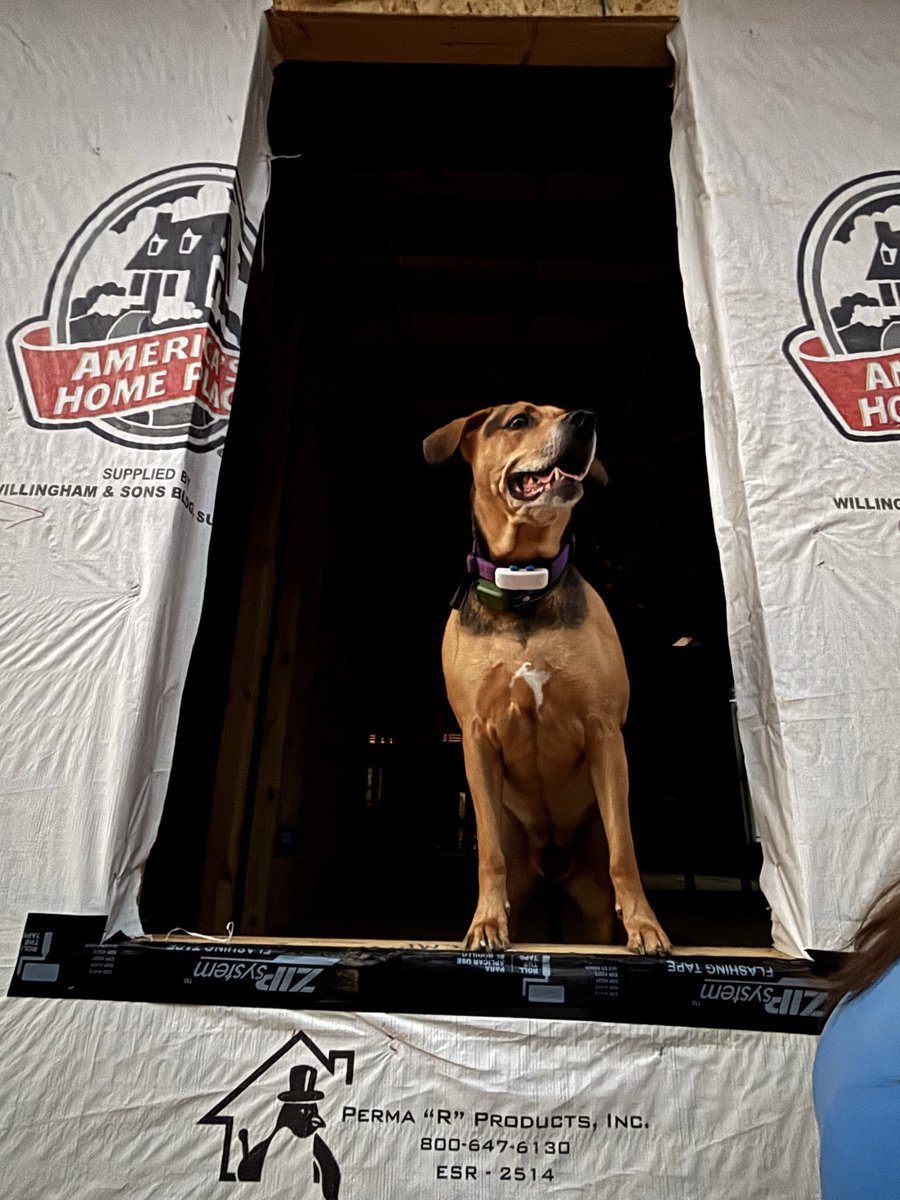 Jordan Atkinson tweet media