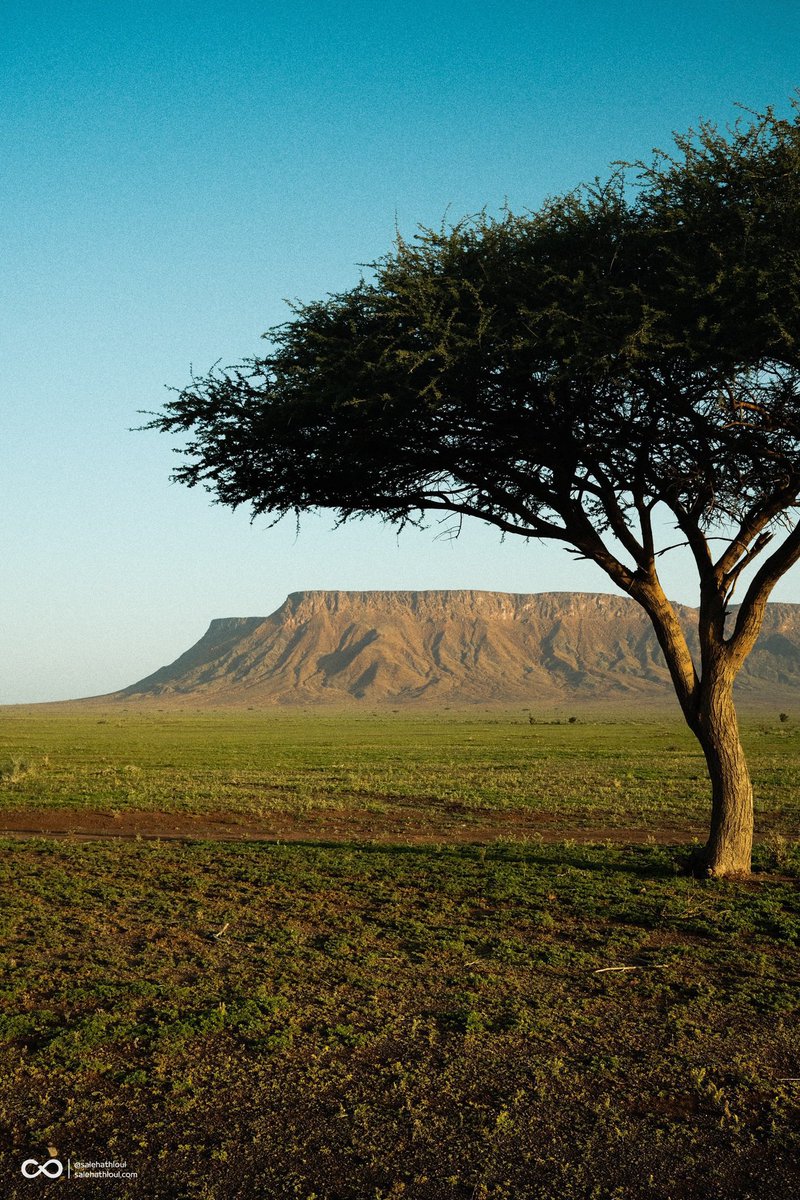 جـبل طميّـة غرب القصيم ⛰️