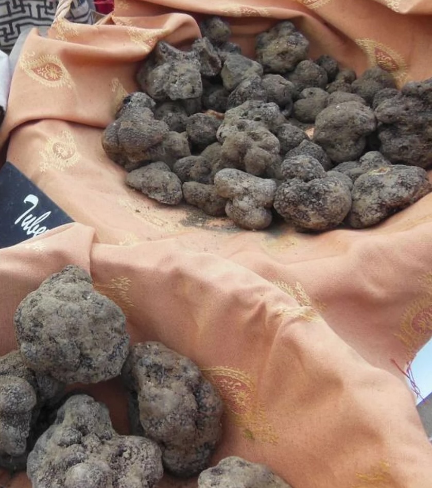 DaysOnAPlate's tweet photo. While the focus is on #Thanksgiving in the USA, in France #onthisday it's also St Siffrein’s Feast Day - said to be the traditional start of the Black Truffle Market in Carpentras, Provence - and in the UK, it's Lancashire Day, home to the celebrated hotpot of lamb and potatoes https://t.co/4dP8QGjGMb
