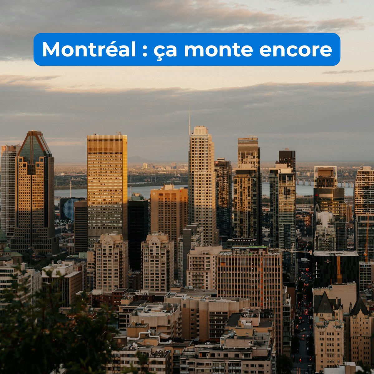 Globalement, le Grand Montréal demeure l’un des marchés les plus dynamiques au Québec, avec des variations selon les quartiers, les municipalités et le type de propriété.

#MarchéImmobilier #GrandMontréal #ImmobilierQuébec #TendancesImmobilières #VenteImmobilière