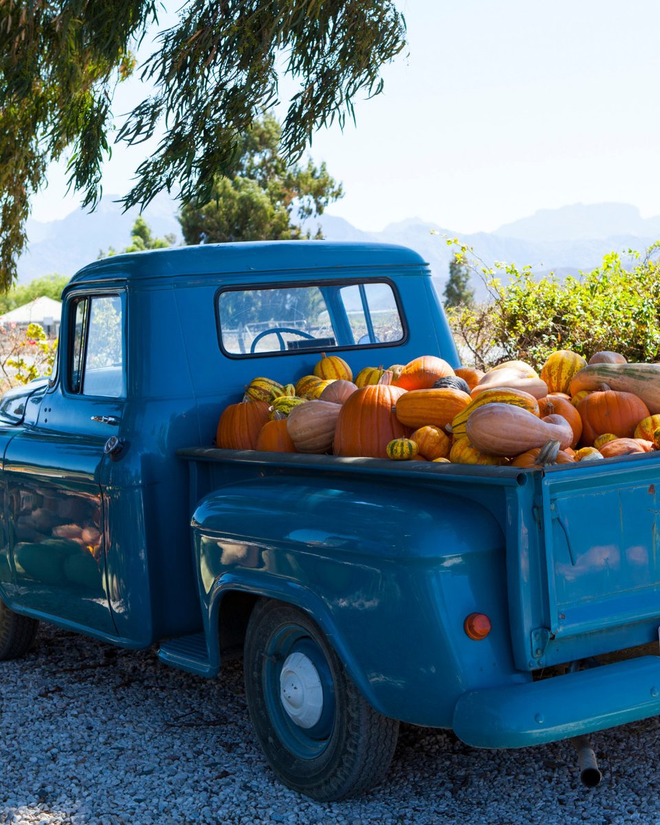 HyattRegencyBuffalo tweet media