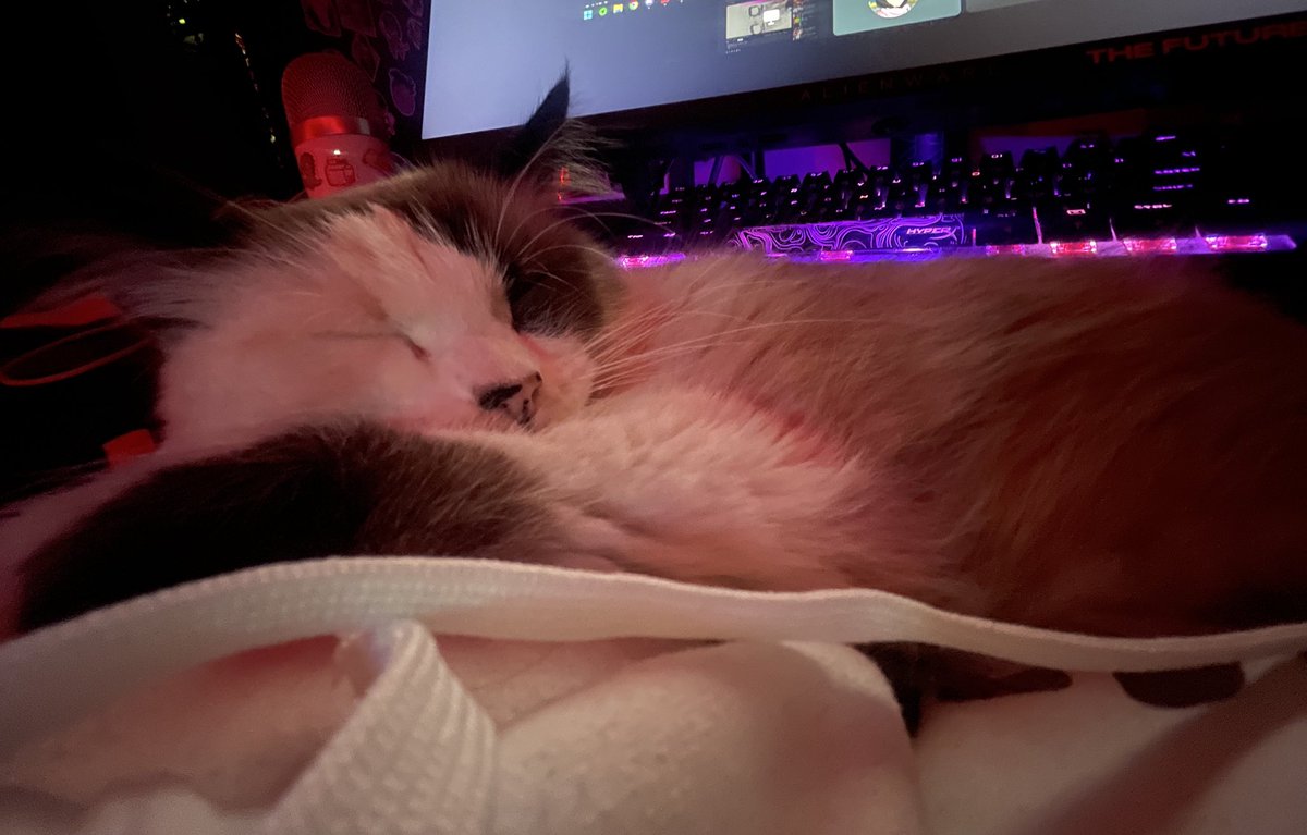 Noviembre ❤️‍🩹