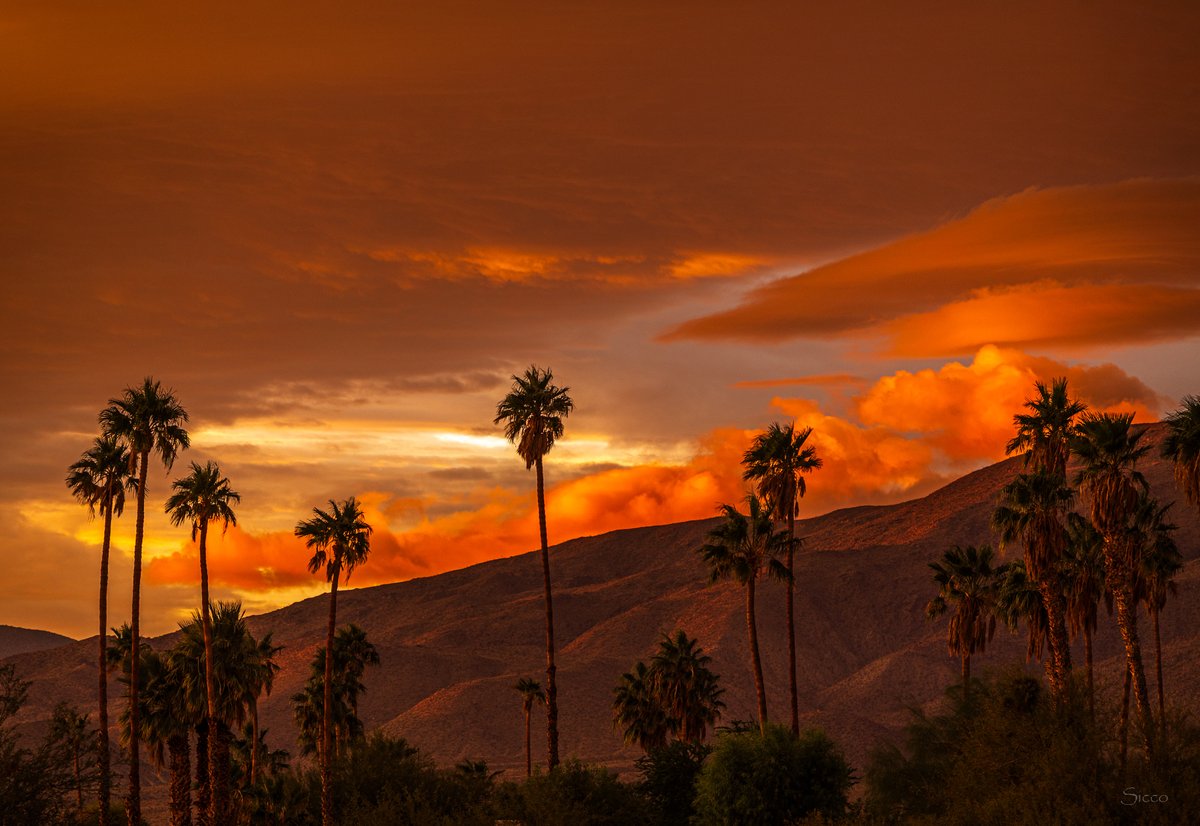 One more view from an earlier storm that led to this intense sunrise in Anza-Borrego Desert (Photo: Sicco Rood).