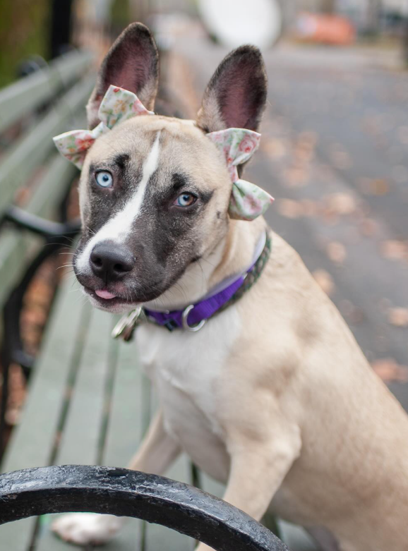 NMBewitched's tweet image. How about some cute #Thanksgiving photos 

Ice Ice Baby😇🧊
Oh my...😍