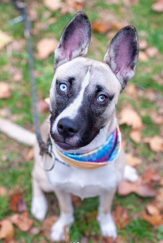 NMBewitched's tweet image. How about some cute #Thanksgiving photos 

Ice Ice Baby😇🧊
Oh my...😍