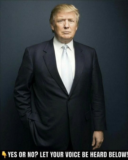 Elephant Signal 🐘🇺🇸 tweet media