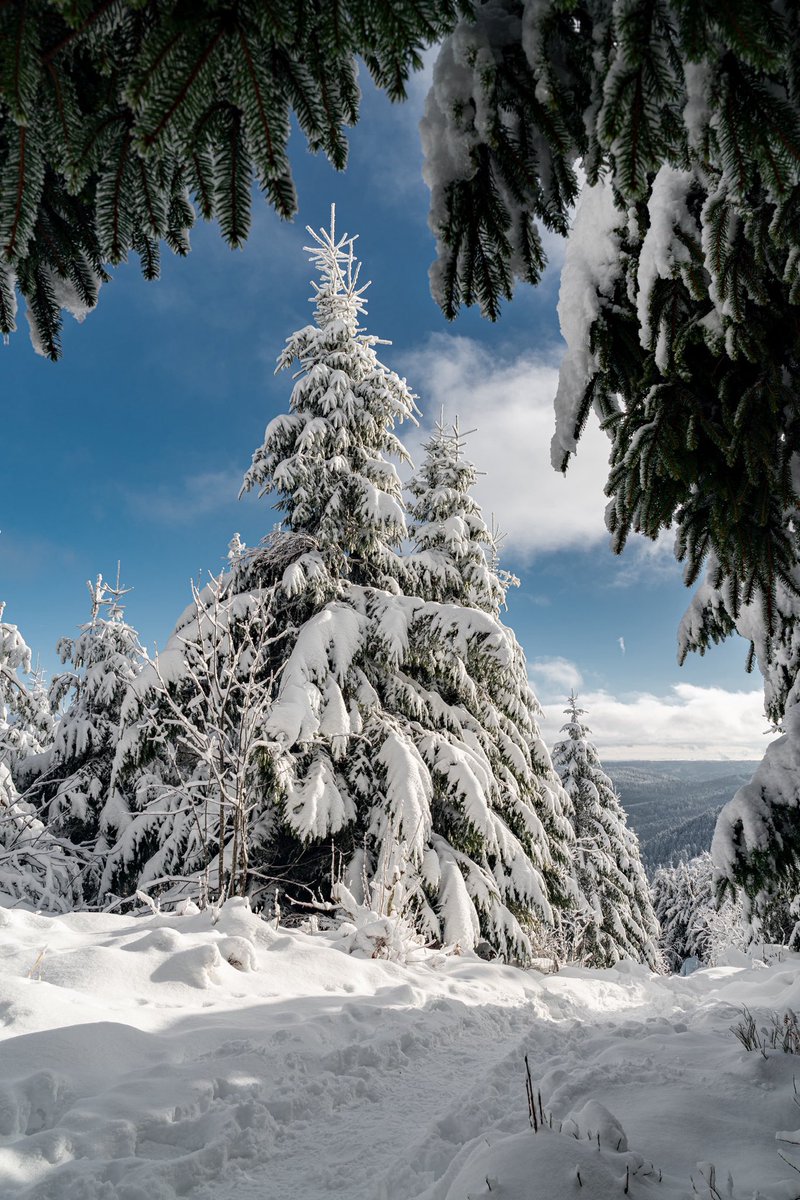 CedricSchell's tweet image. Il est possible de voir ce type de paysage à moins d’une heure de Strasbourg. 
(En ce moment même) 27.11.25