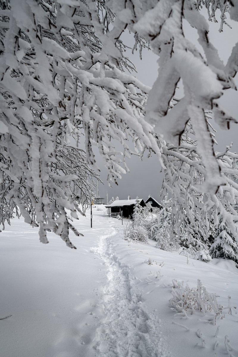CedricSchell's tweet image. Il est possible de voir ce type de paysage à moins d’une heure de Strasbourg. 
(En ce moment même) 27.11.25