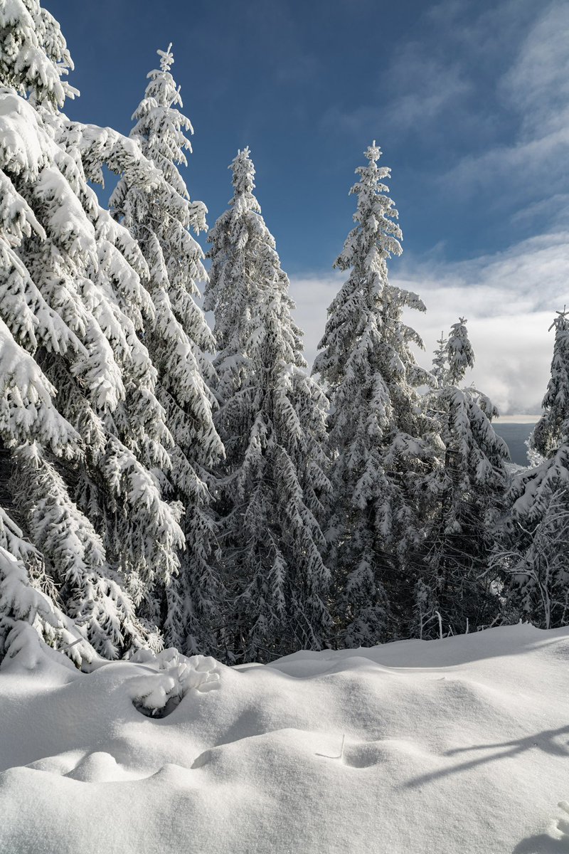 CedricSchell's tweet image. Il est possible de voir ce type de paysage à moins d’une heure de Strasbourg. 
(En ce moment même) 27.11.25