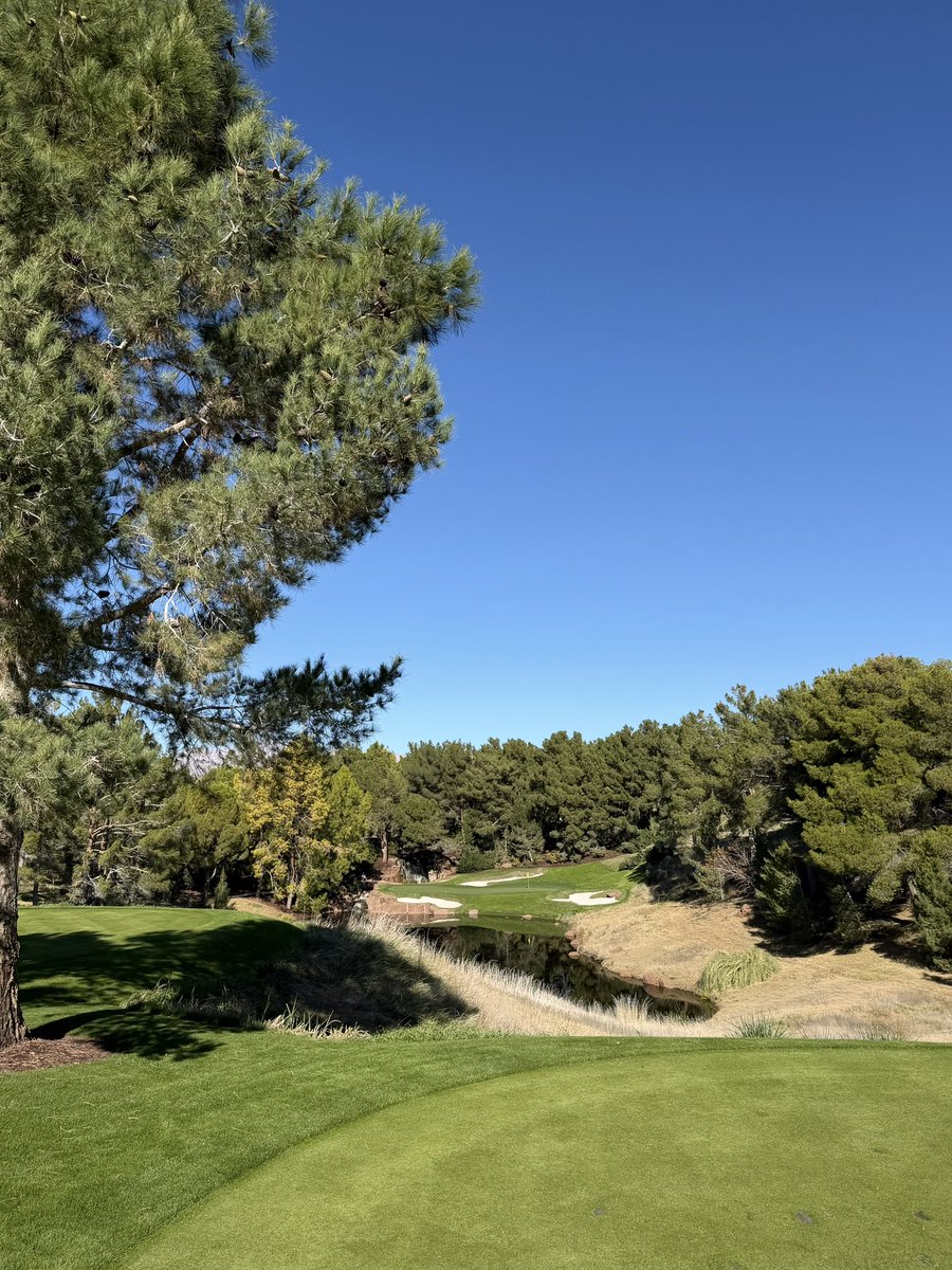 david blomquist tweet media